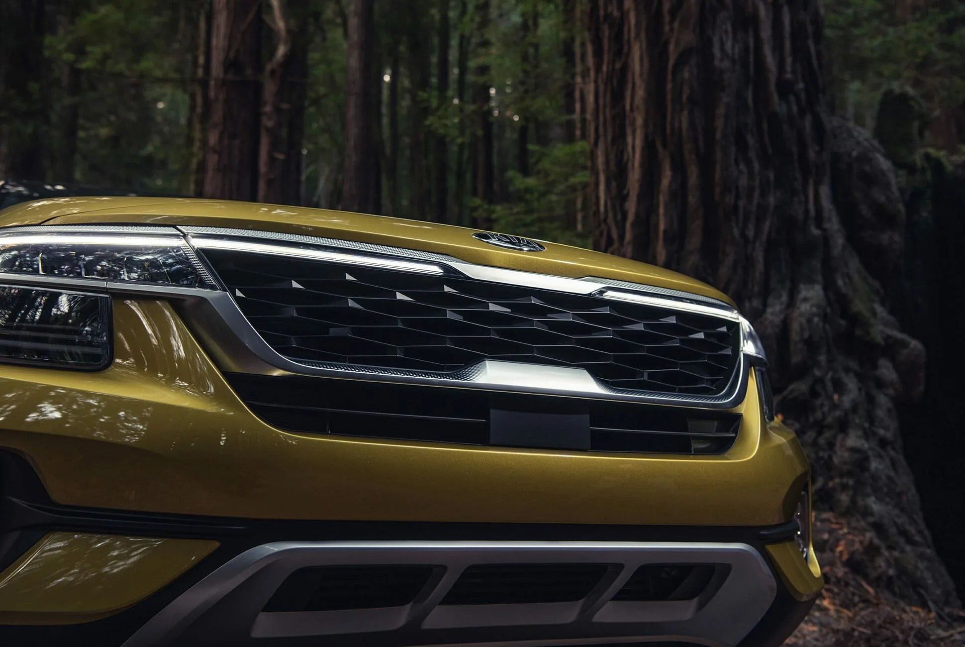 2021 Kia Seltos First Drive: Redefining the Entry-Level SUV  Gear Patrol