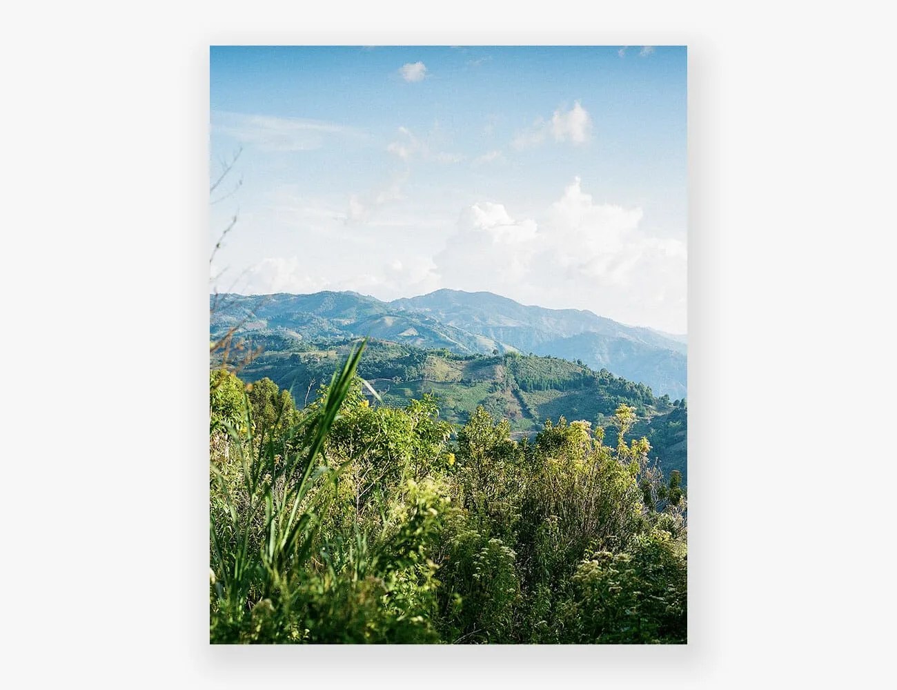 Covid-Print-Sales-Gear-Patrol-Brenden-Clarke