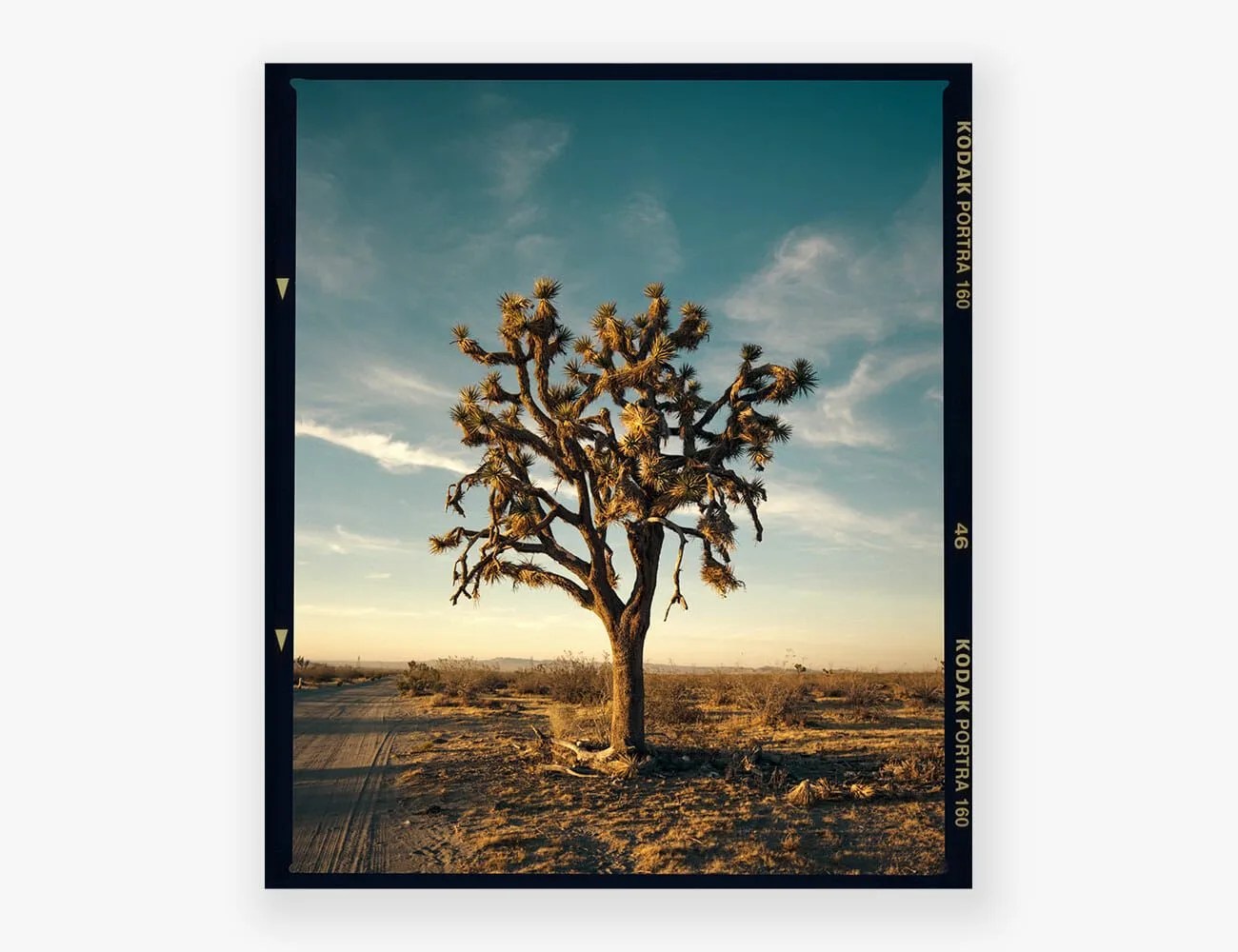 Covid-Print-Sales-Gear-Patrol-Brett-Curry