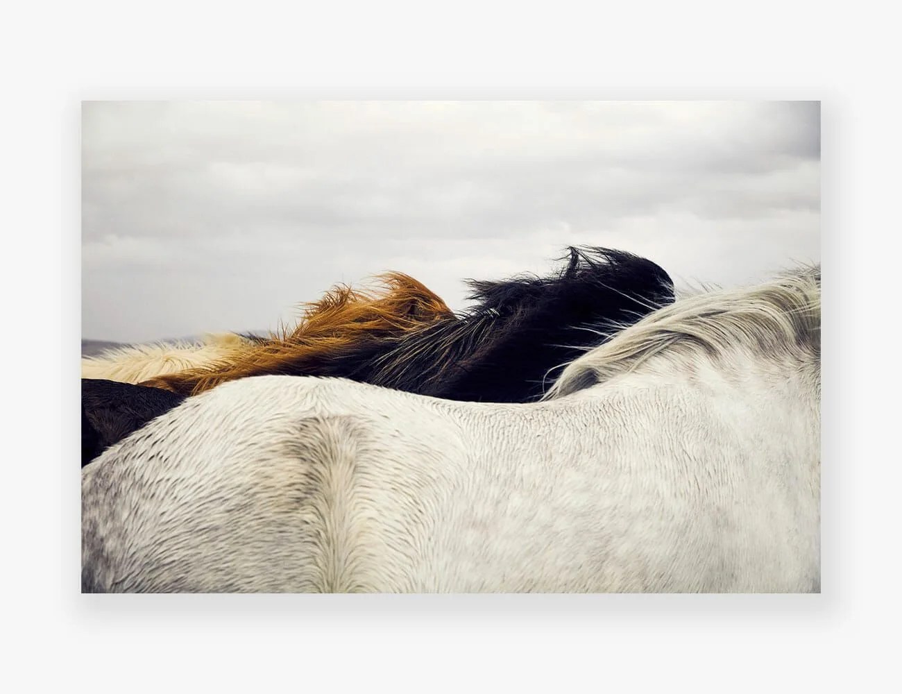 Covid-Print-Sales-Gear-Patrol-Day19