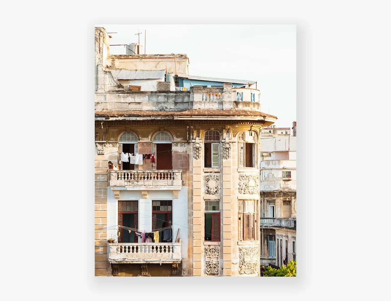 Covid-Print-Sales-Gear-Patrol-Lauren-Segal