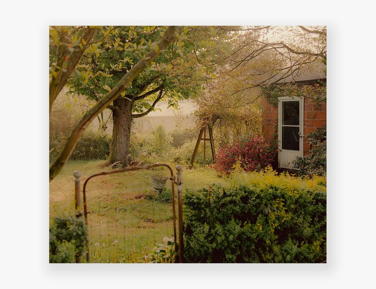 Covid-Print-Sales-Gear-Patrol-Roman-Spataro