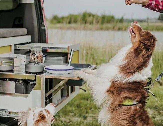 Egoe-Nestbox-gear-patrol-feature