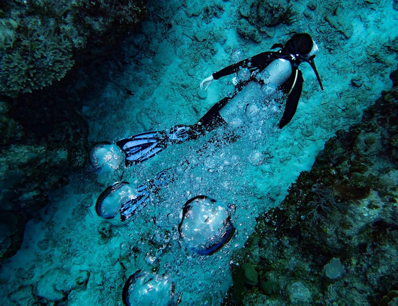 Longines-Dive-Watches-gear-patrol-ambience-3