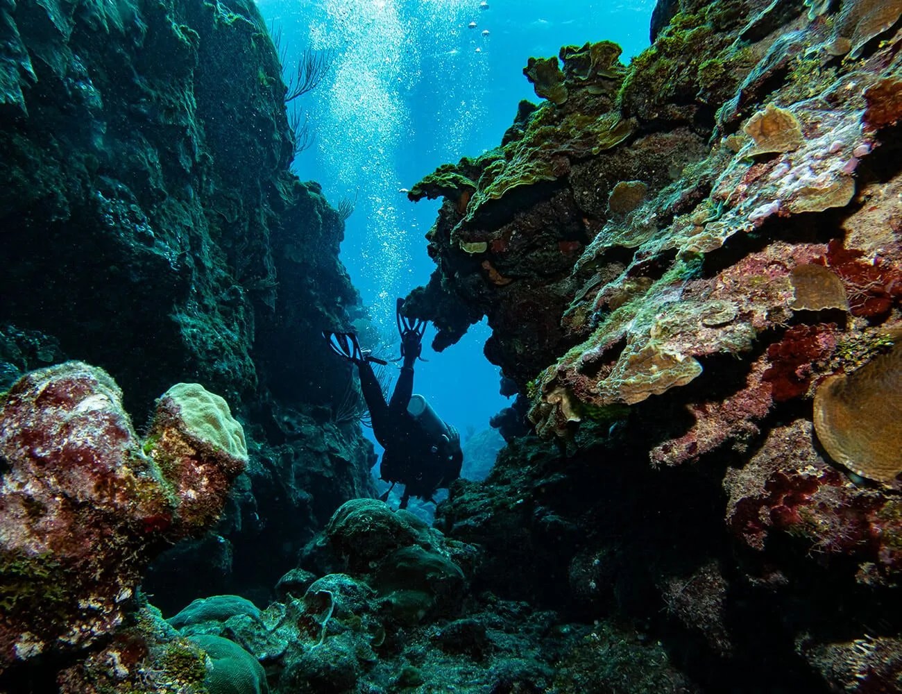Longines-Dive-Watches-gear-patrol-ambience-5