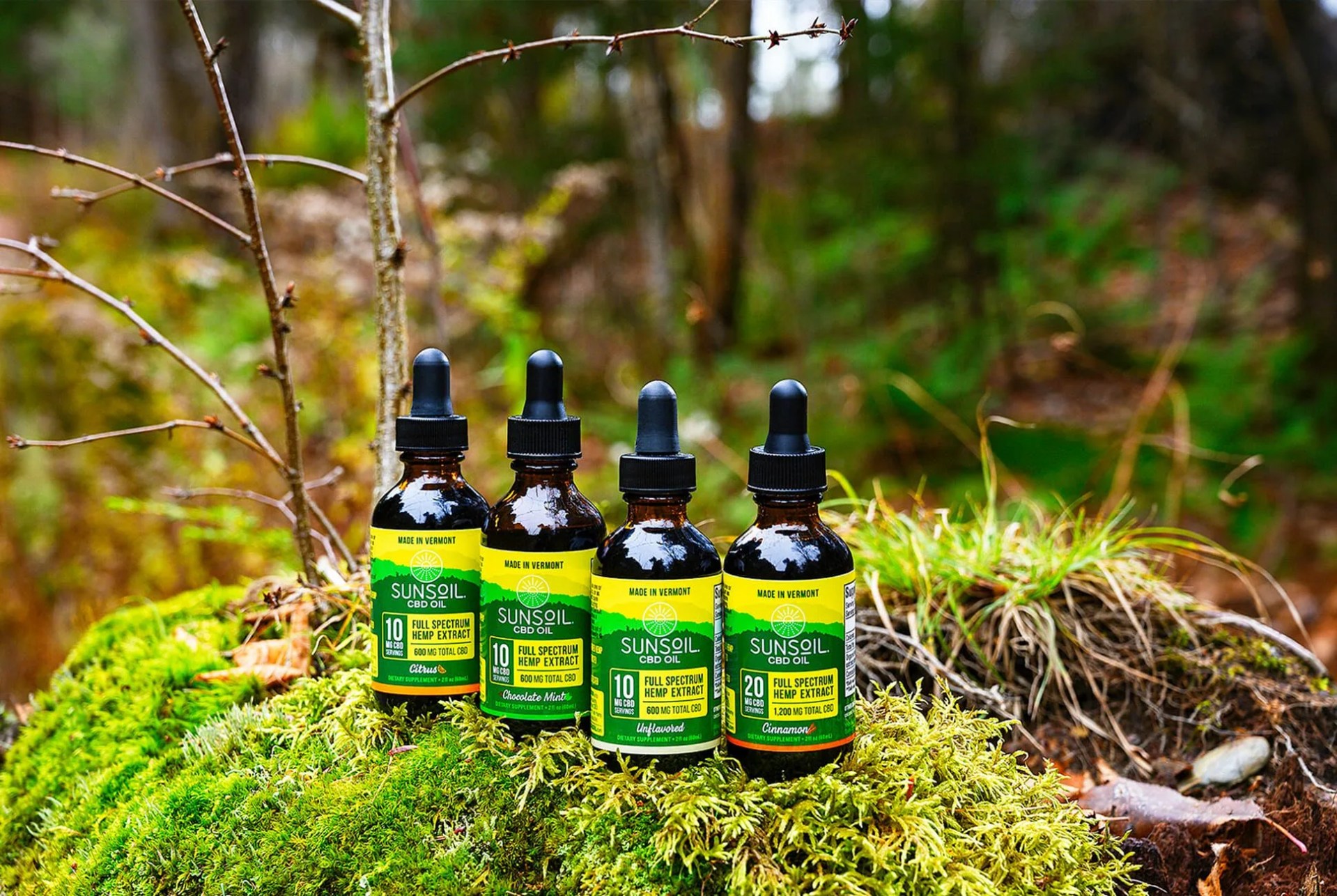 TIG-MAR-31-Sunsoil-CBD-gear-patrol-lead-full