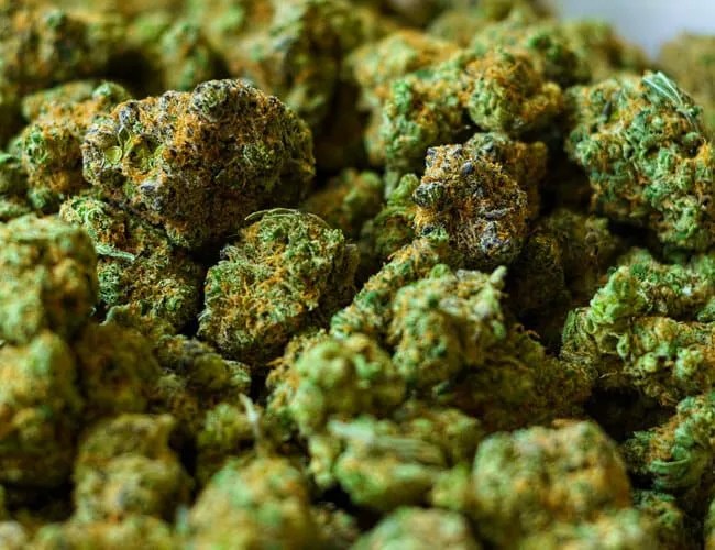weed terms gear patrol lead featured