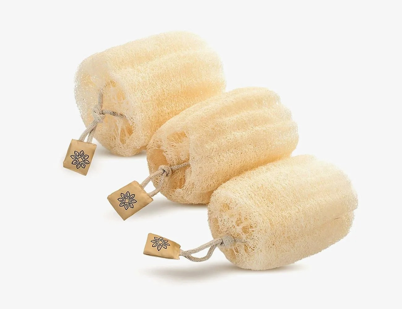 20-Style-Essentials-gear-patrol-Sponge