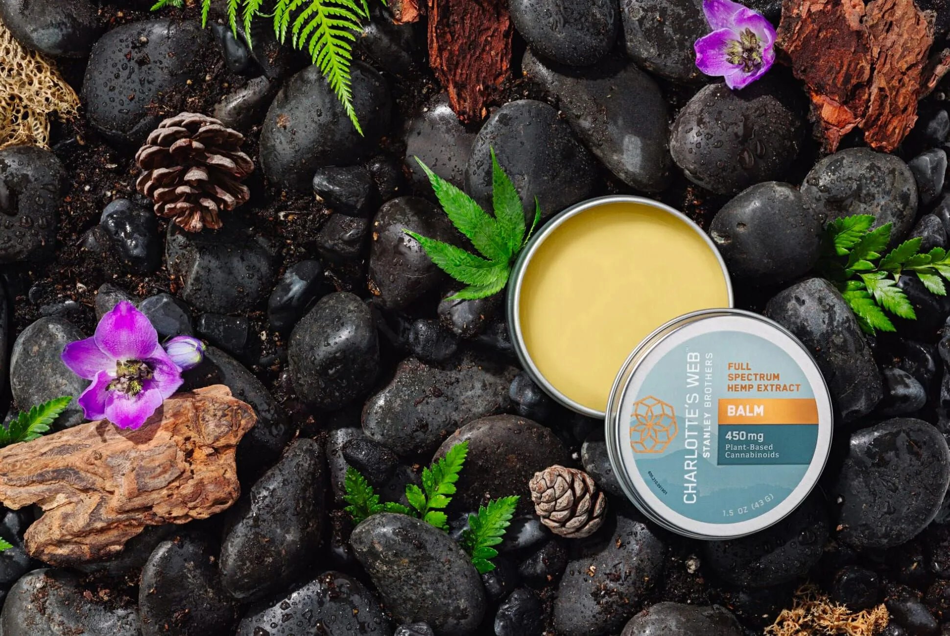 don jul 6 charlottes web gear patrol lead full