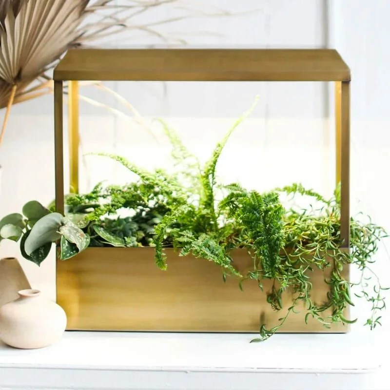 Deals-Not-To-Miss-7-1-gear-patrol-United-by-Blue