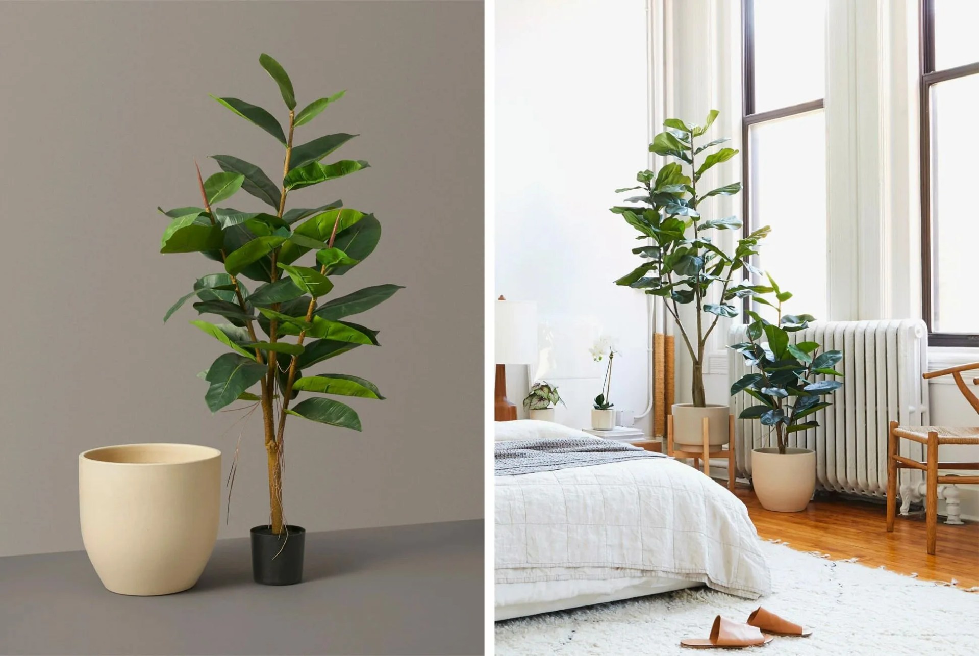 The-Sill-Faux-Rubber-gear-patrol-lead-full