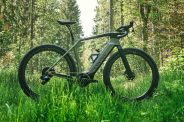 a green bike in a forest
