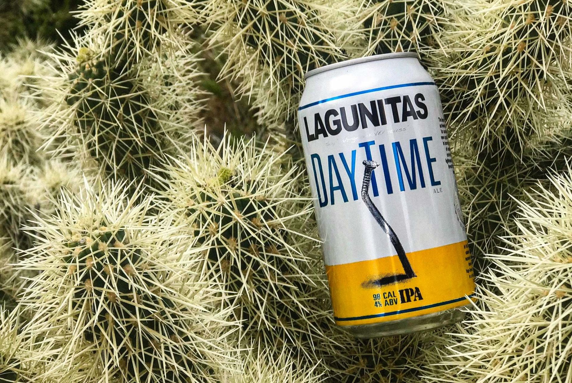 lagunitas daytime