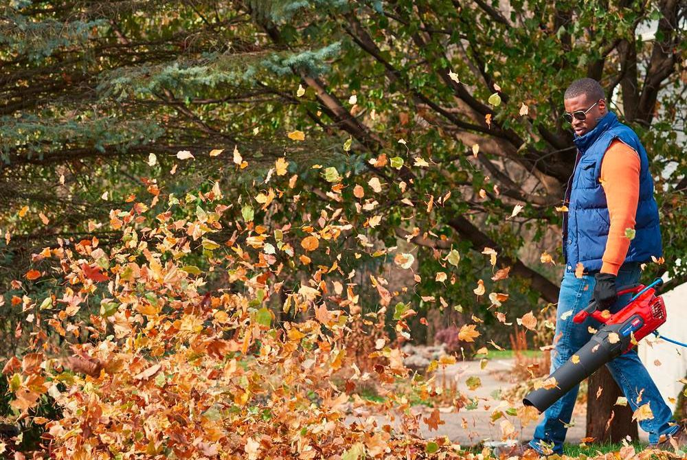 best leaf blowers