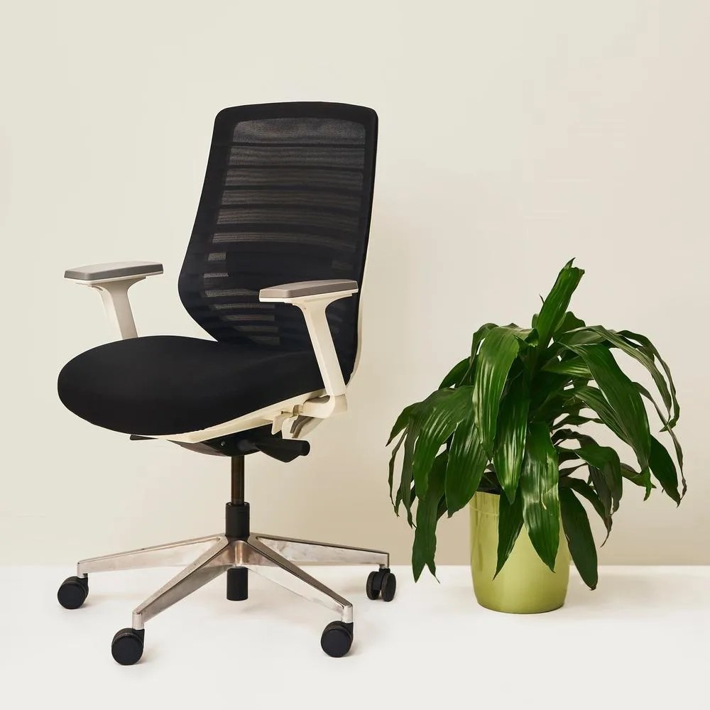 chair and plant
