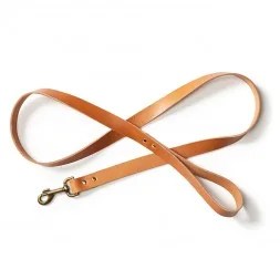 leather leash