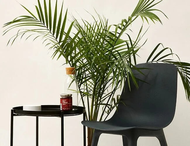 50 best things to buy at ikea gear patrol lead featured