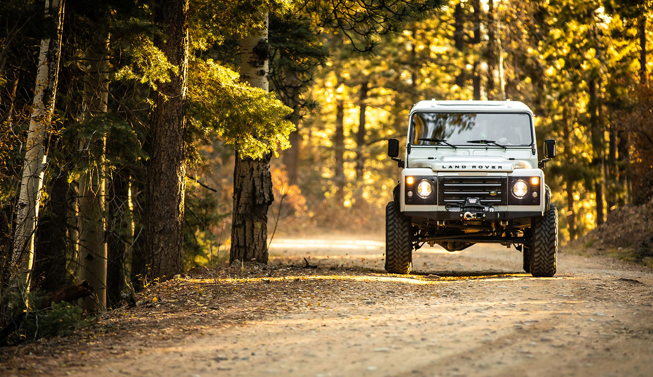 white vintage defender driving in the woods