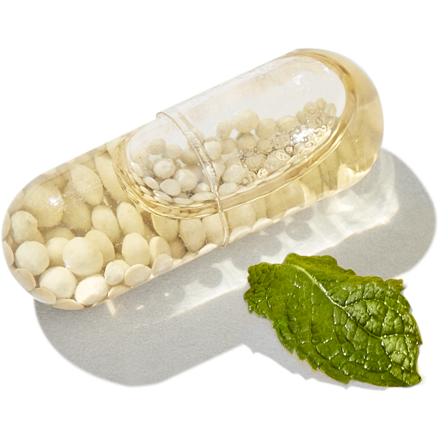gp100 health