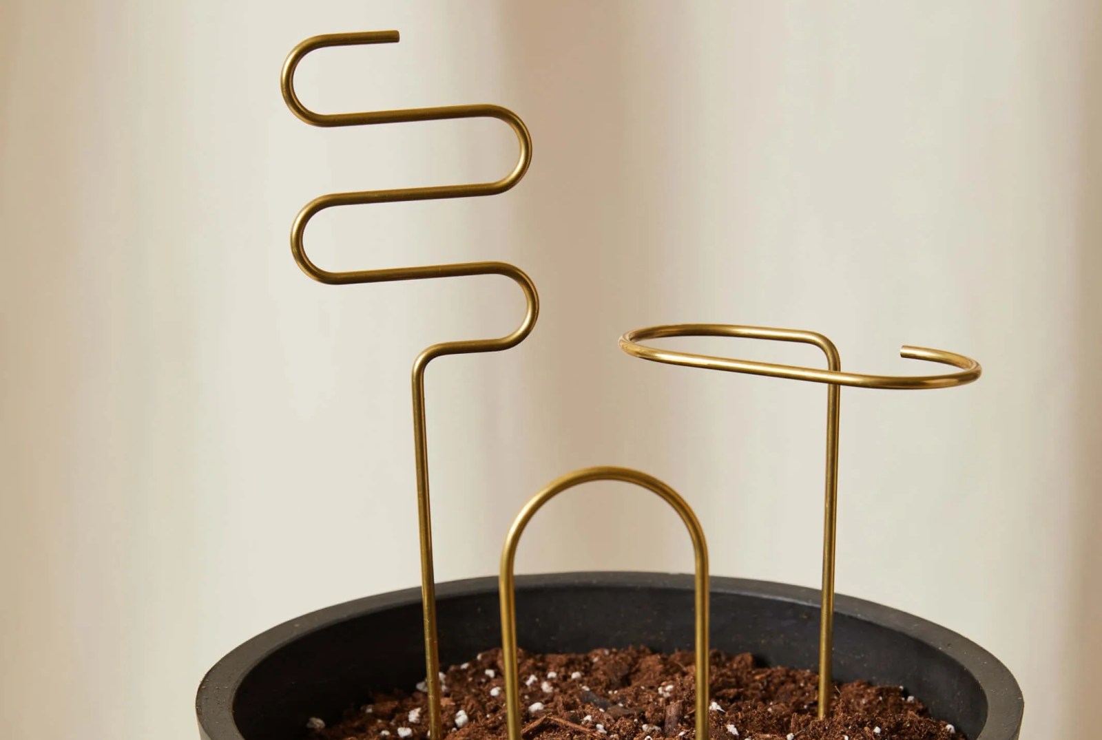 plant sticks in soil
