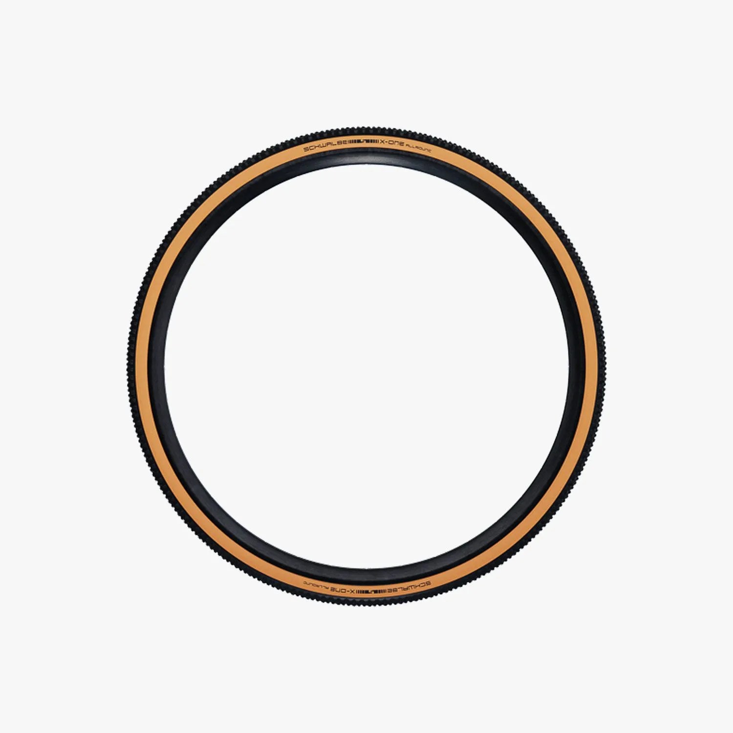 lachlan morton winter riding tips