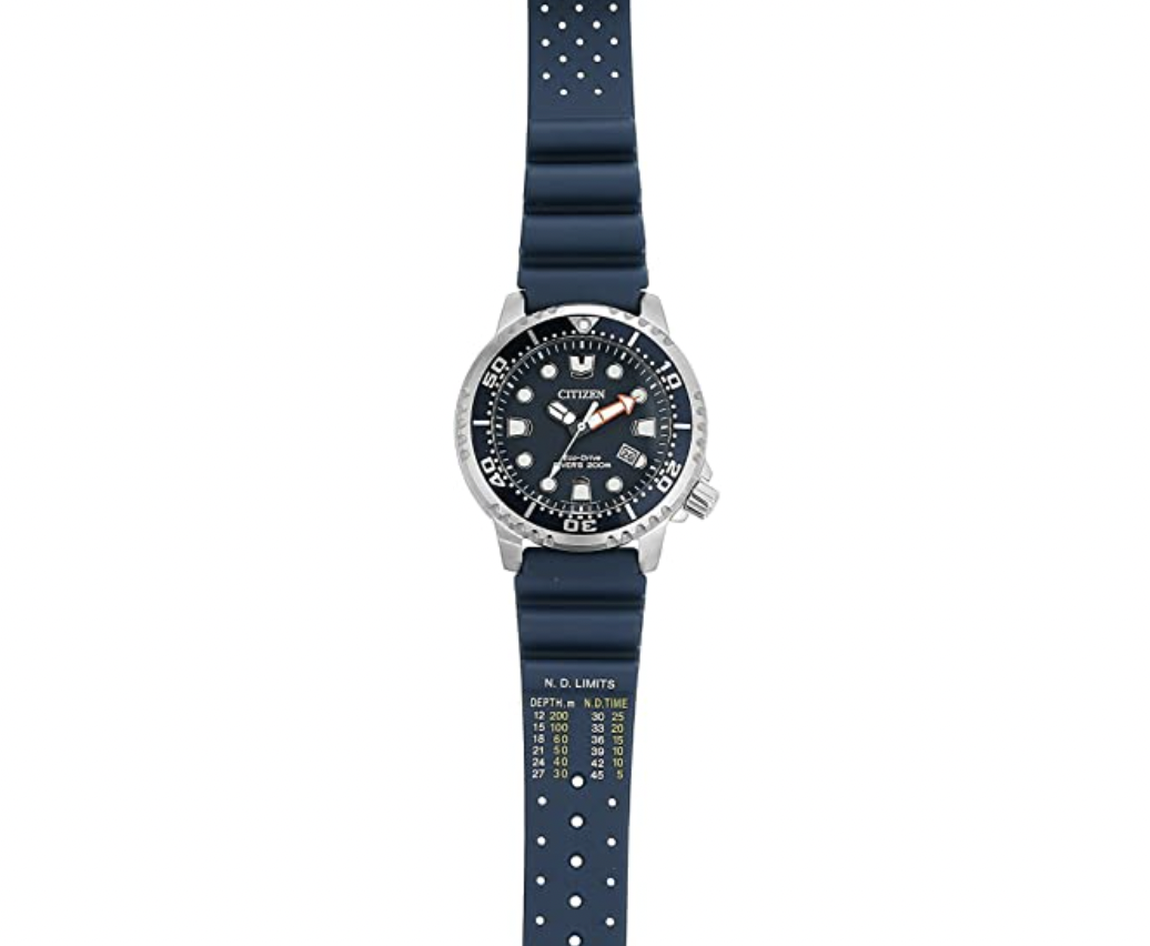 diver watch