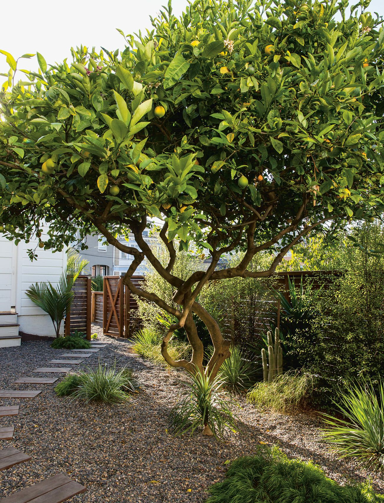 Backyard-Garden-gear-patrol-ambiance-2