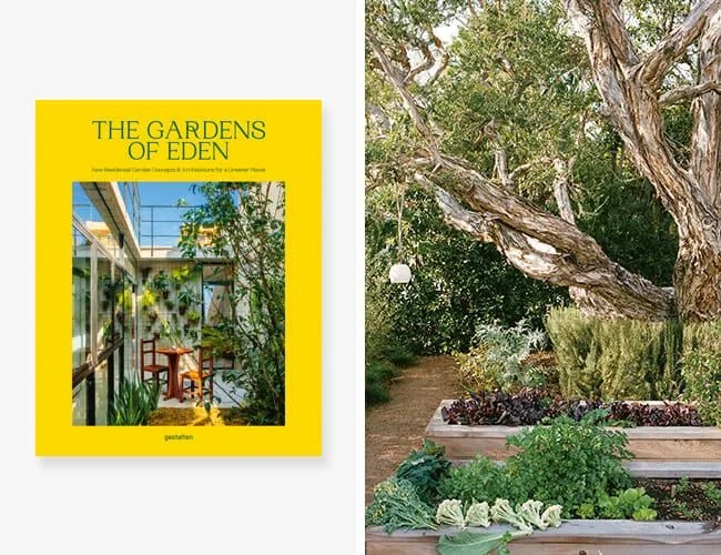 Backyard-Garden-gear-patrol-lead-feature