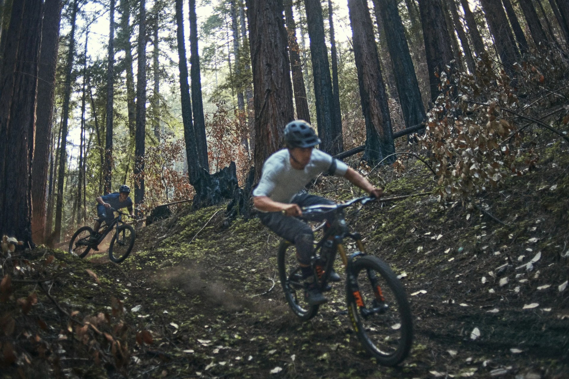 two people riding mountain bikes
