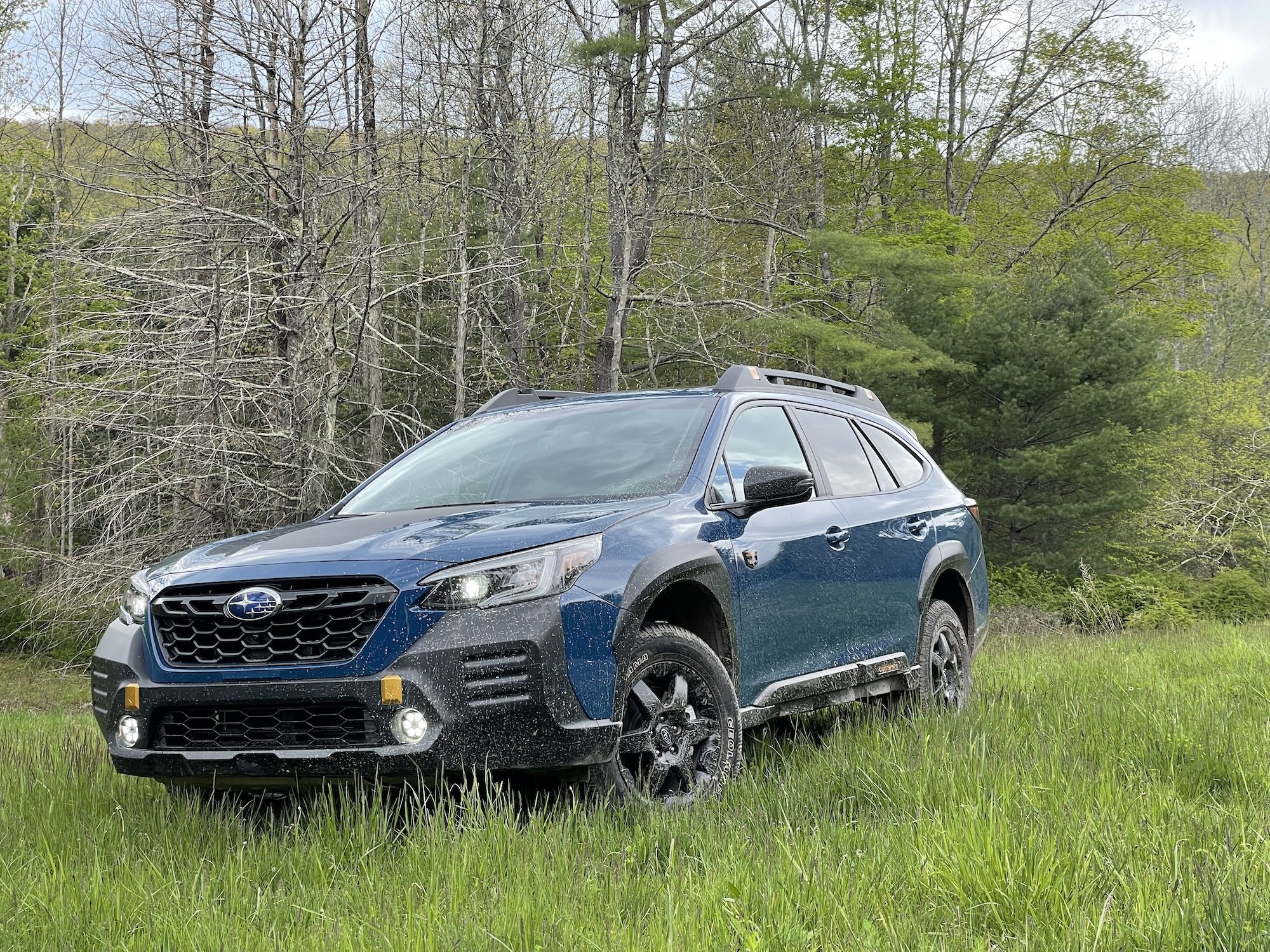 subaru outback wilderness wsc