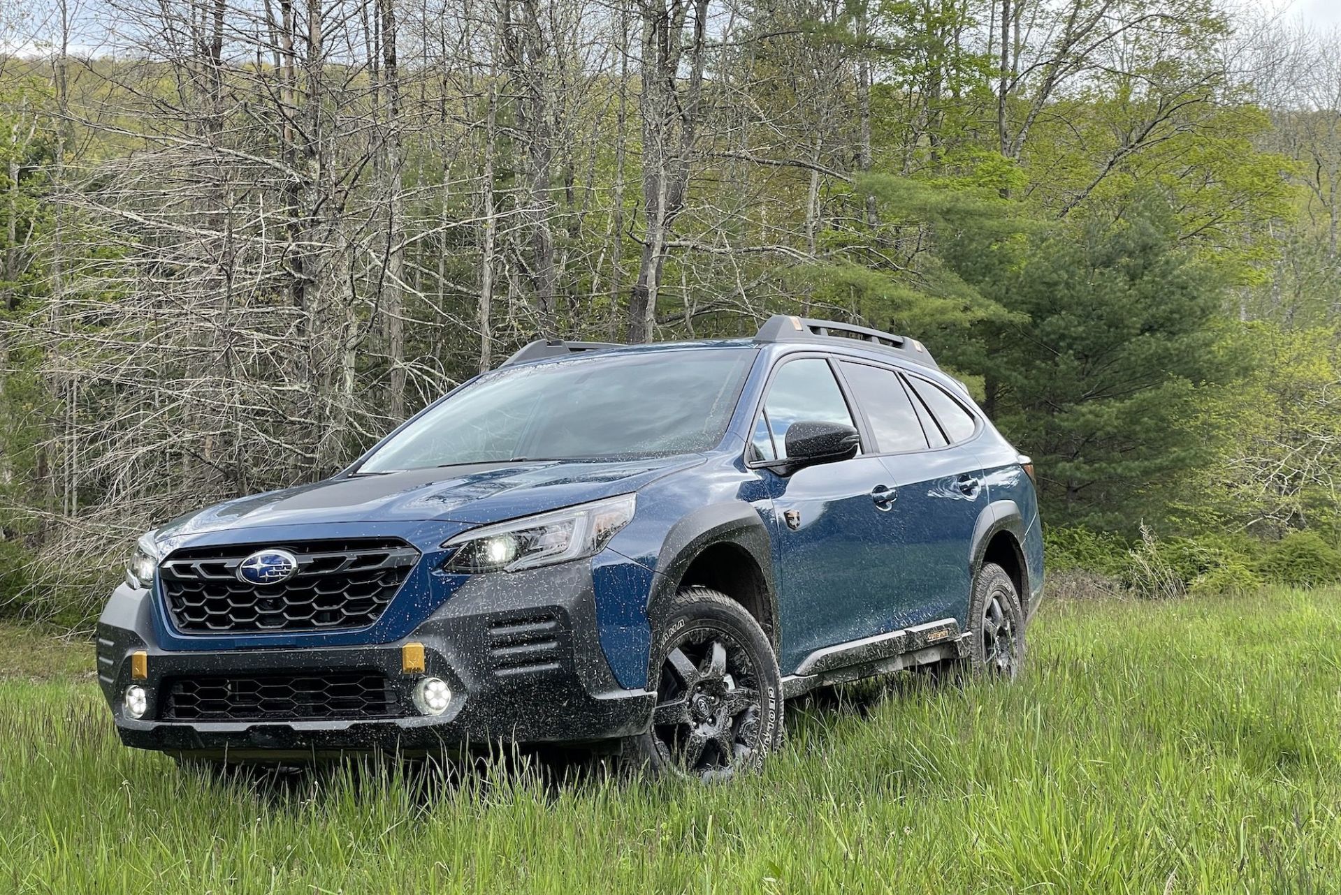 subaru outback wilderness wsc