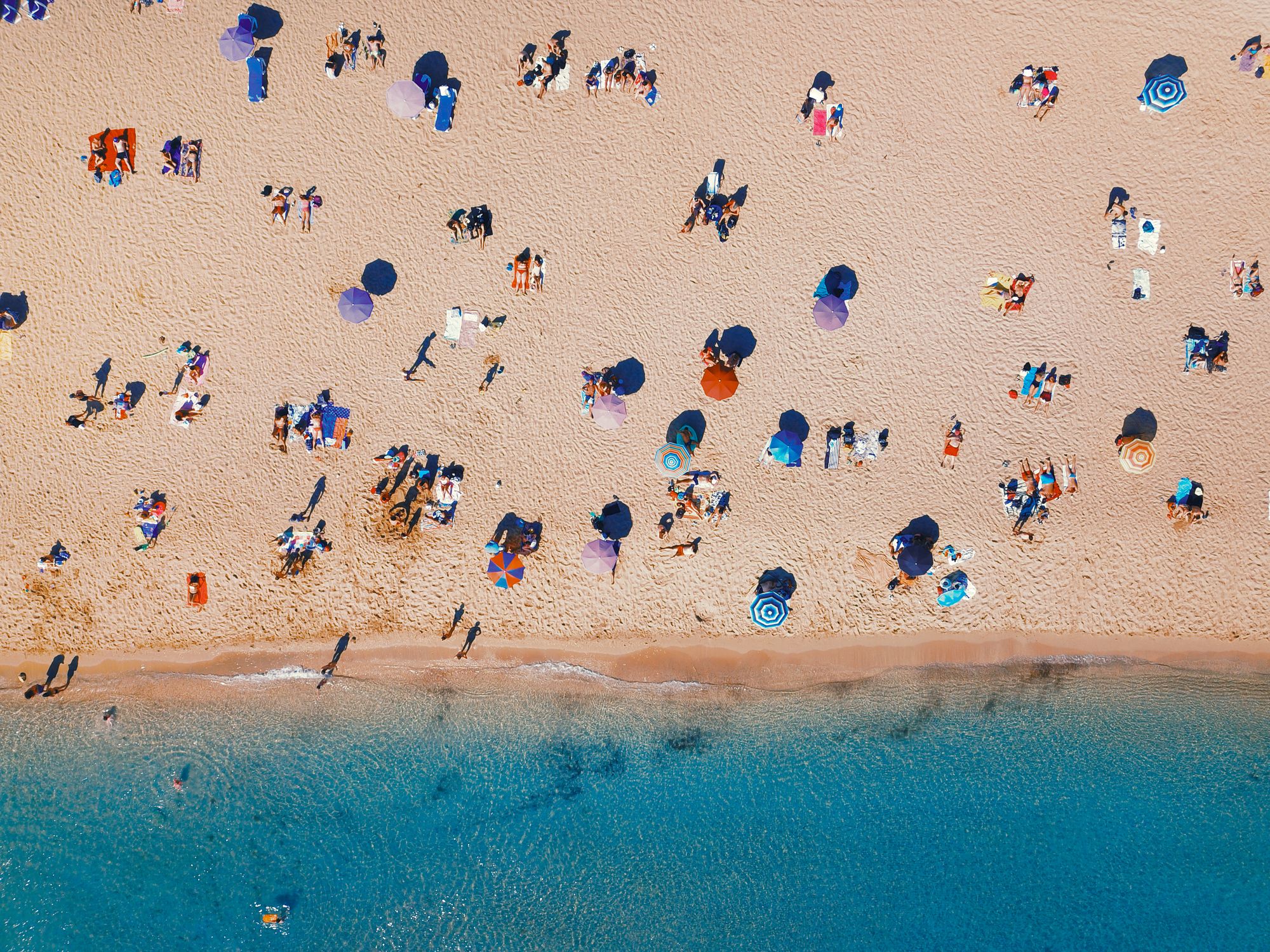 aerial top view of people sitting on a sandy beach