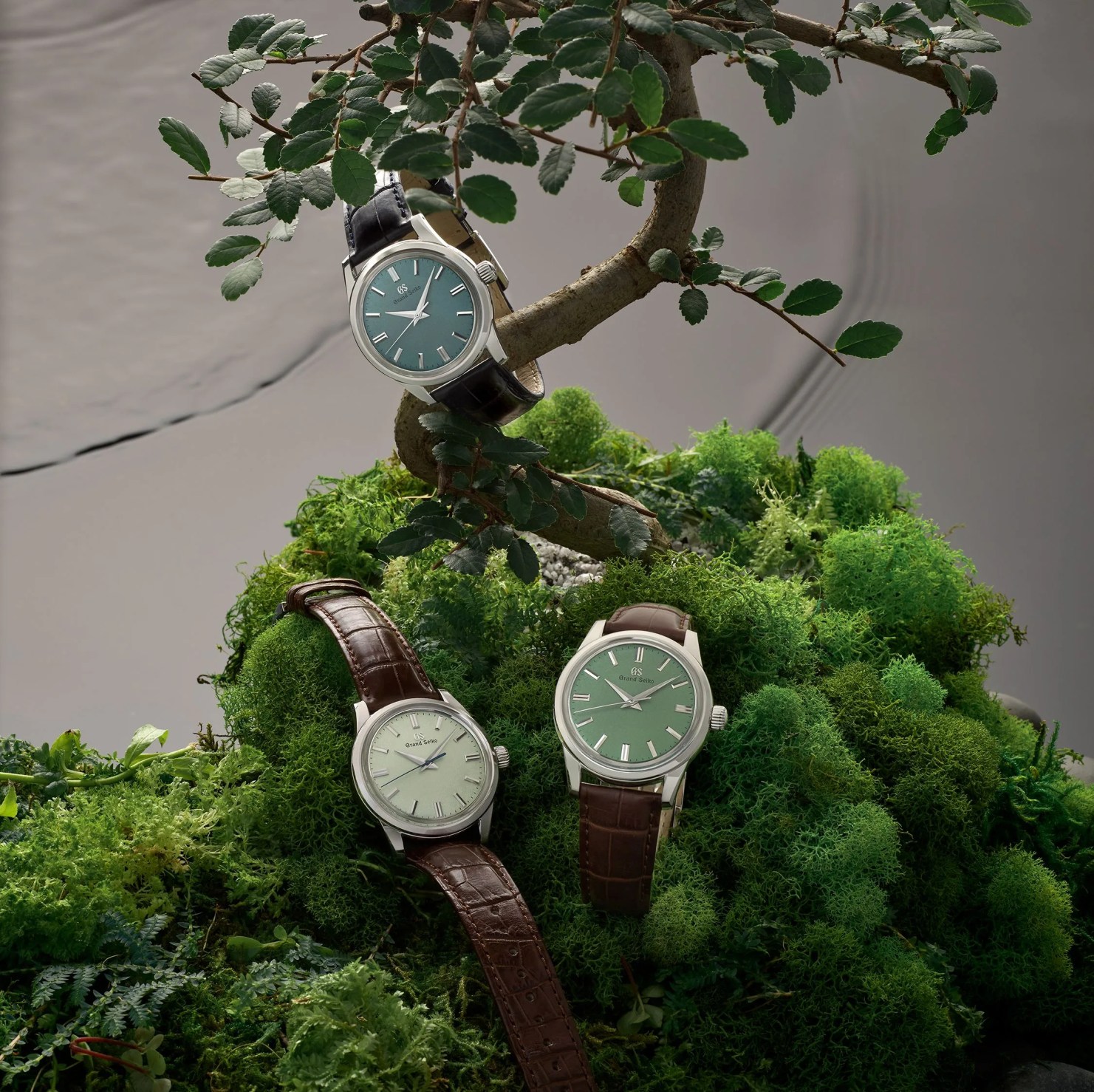 grand seiko elegance collection us limited edition