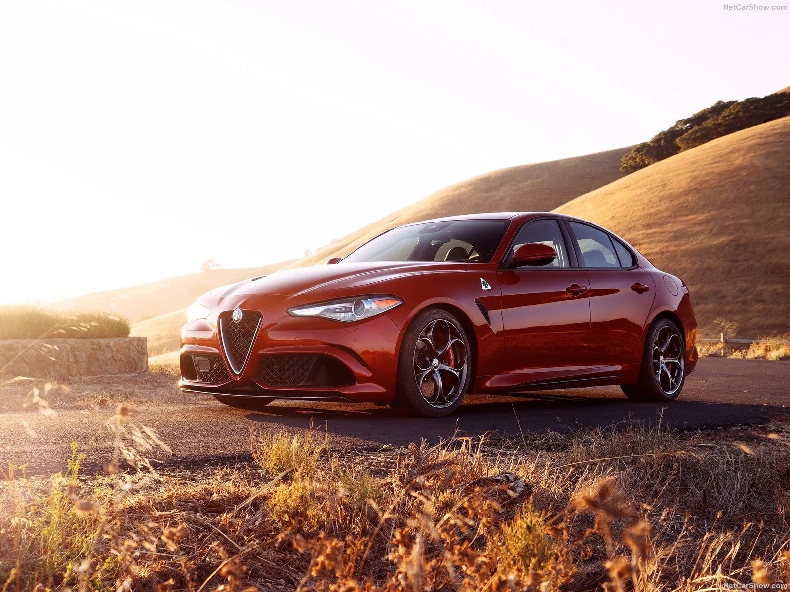 alfa romeo giulia quadrifoglio