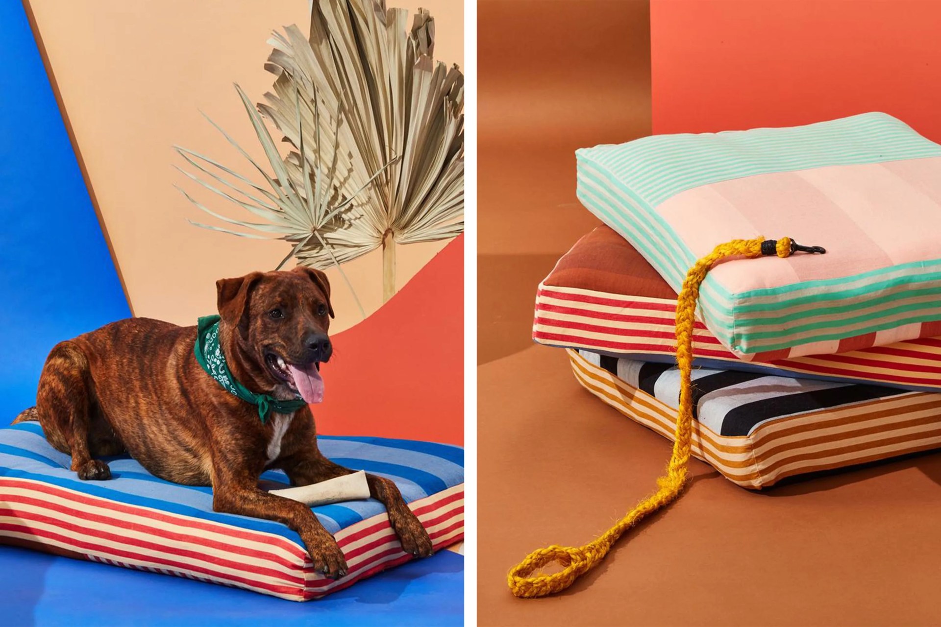 minna dog bed