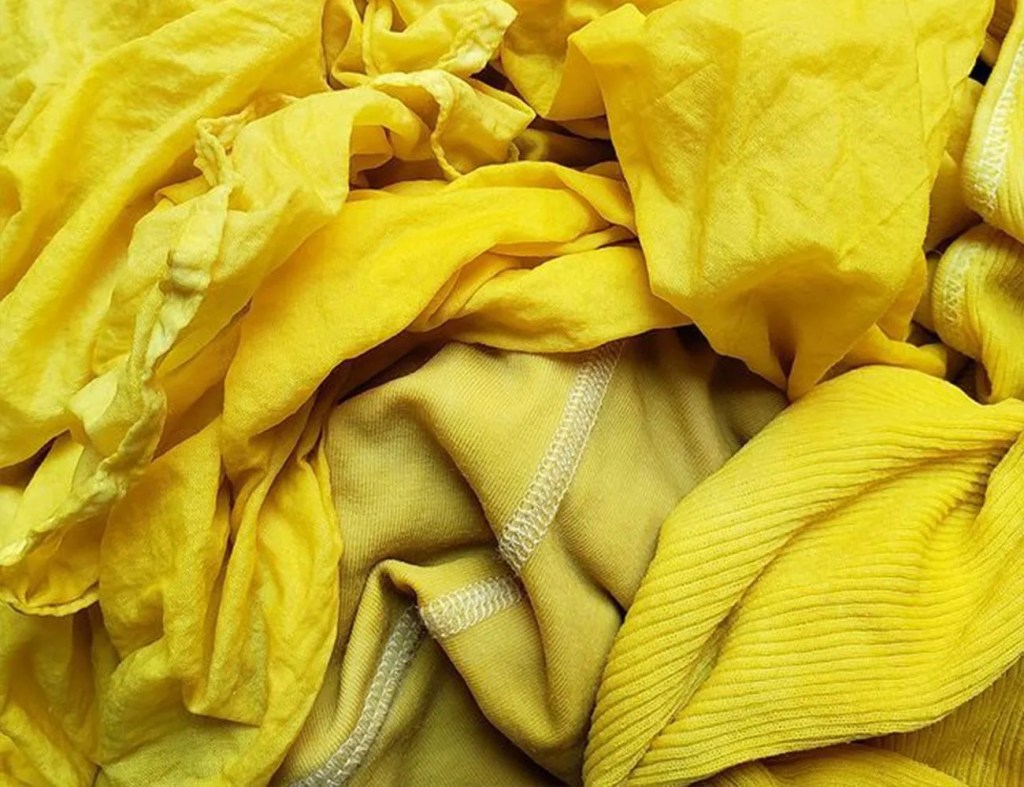 Want to Customize Your Clothes With Natural Dyes? Let an Expert Tell You How Gear Patrol