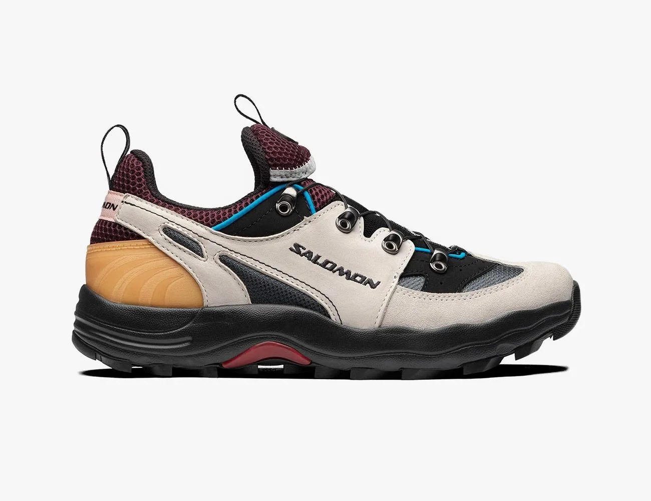 salomon raid wind advanced shoe