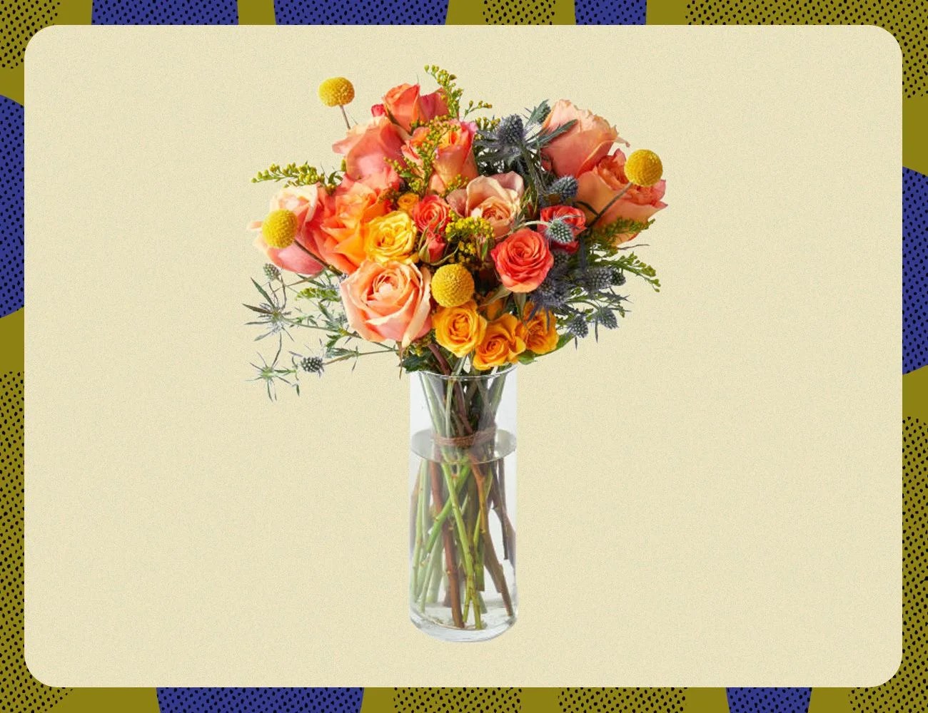 urban stems the firecracker