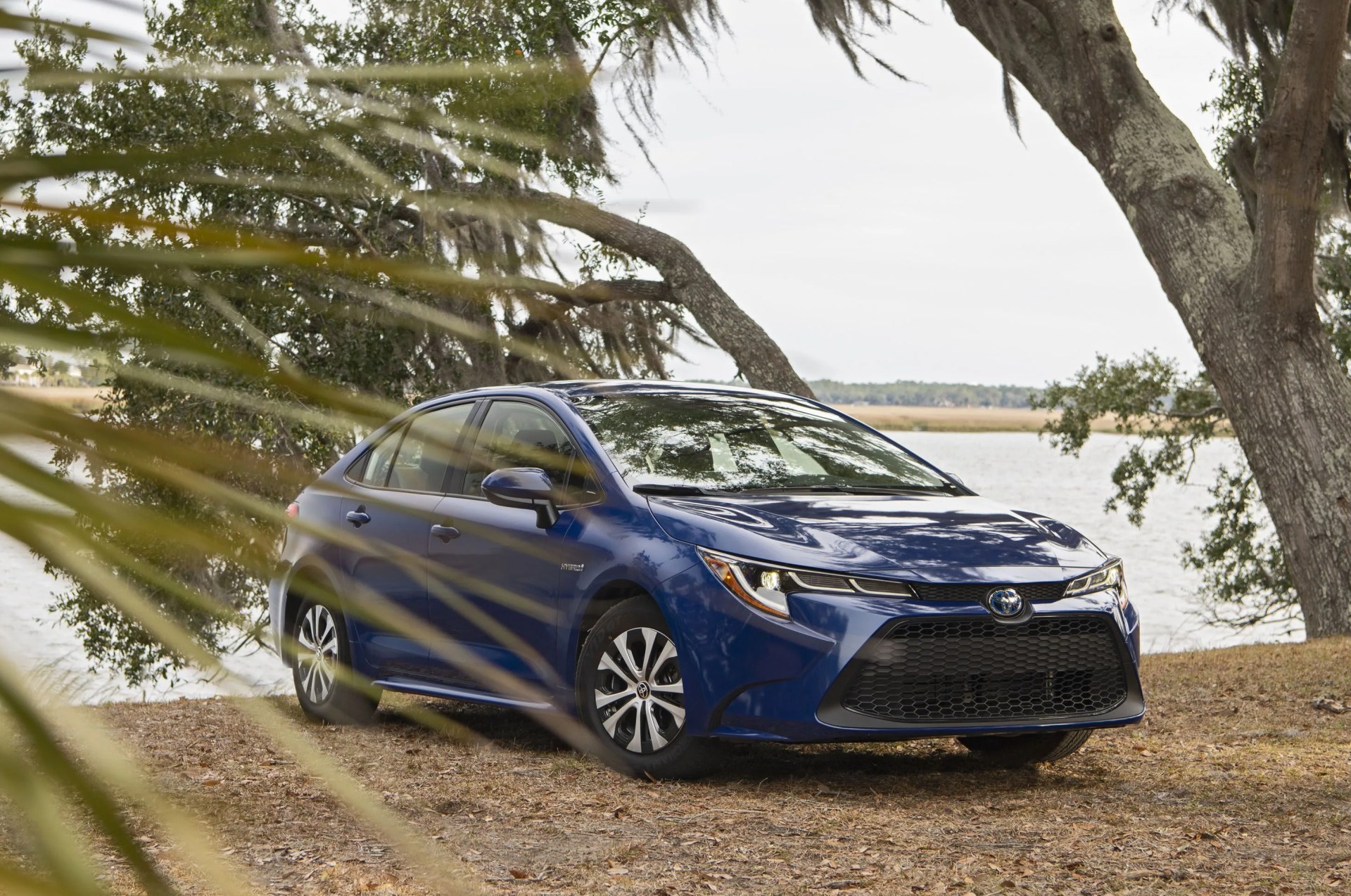 toyota corolla hybrid