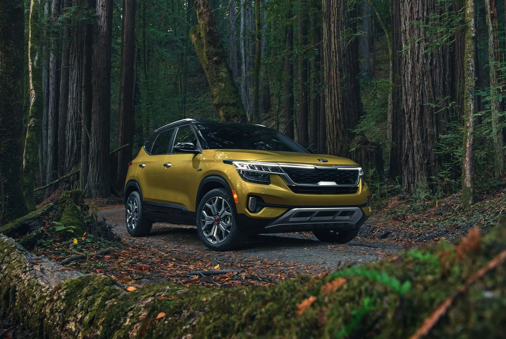 2021 Kia Seltos First Drive: Redefining the Entry-Level SUV  Gear Patrol