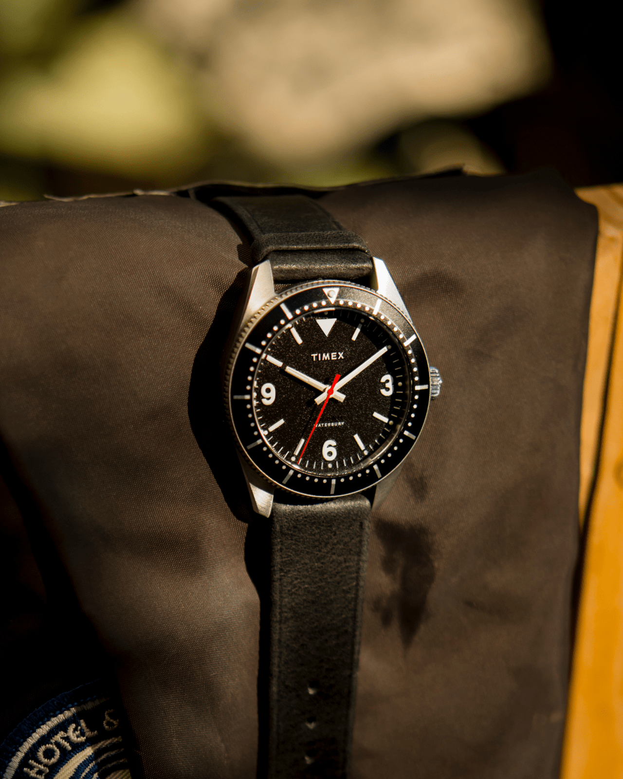 timex waterbury hodinkee limited edition