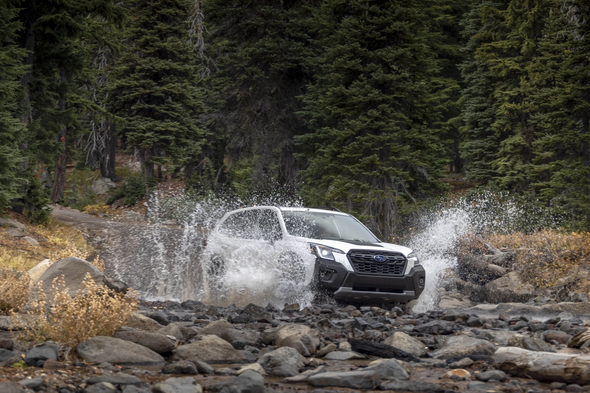 subaru forester wilderness 2022
