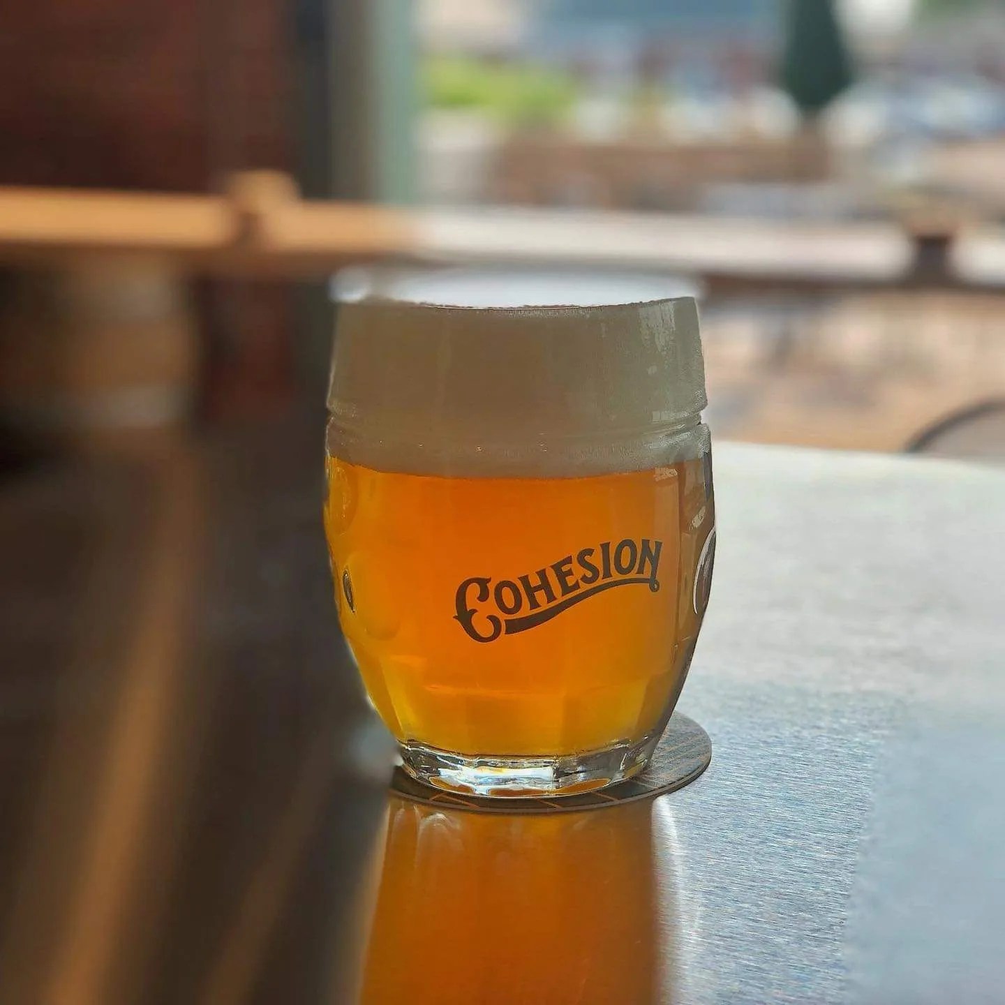 cohesion brewing company