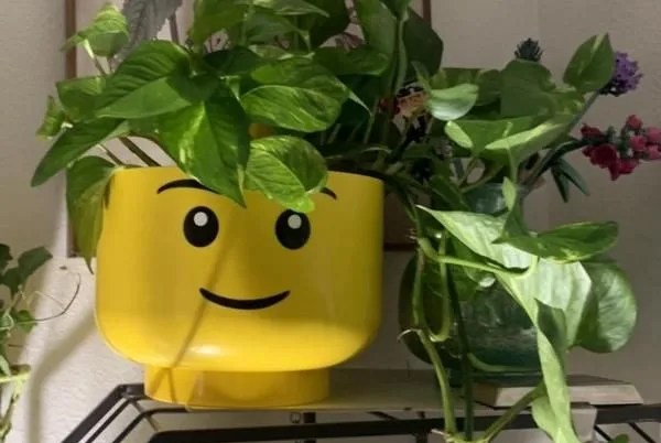 target x lego collection