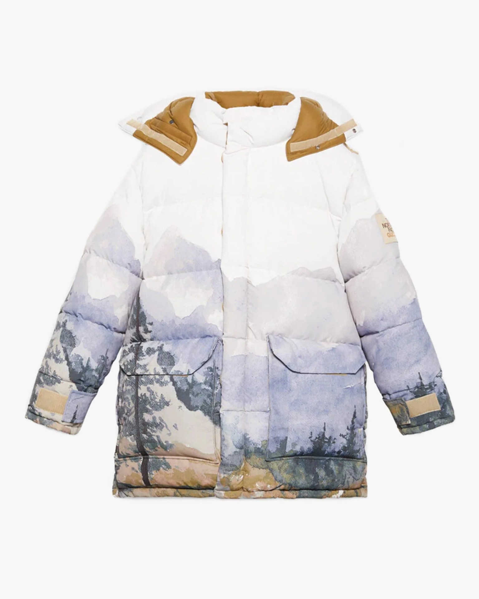 northface x gucci jacket