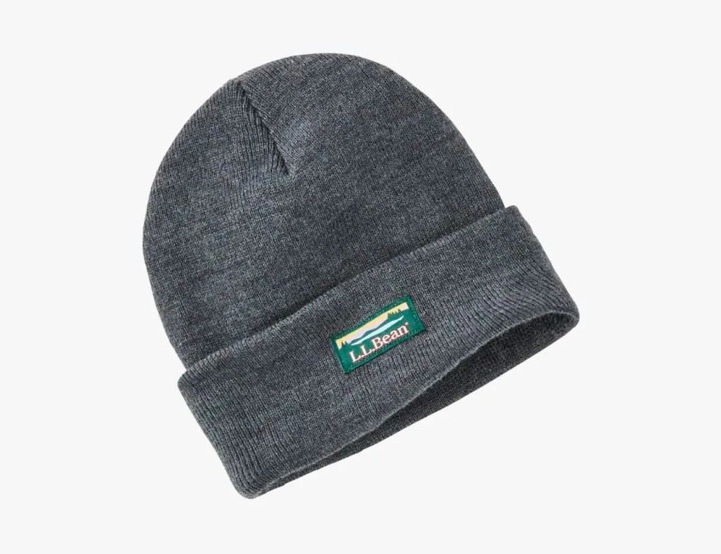 Which Affordable Beanie Is Worth Your Money? Gear Patrol