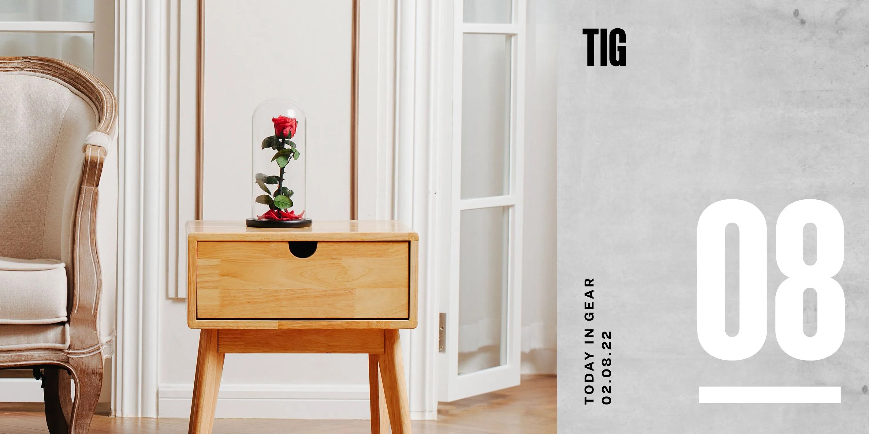 today in gear february 8 2022 rosephoria eternal rose