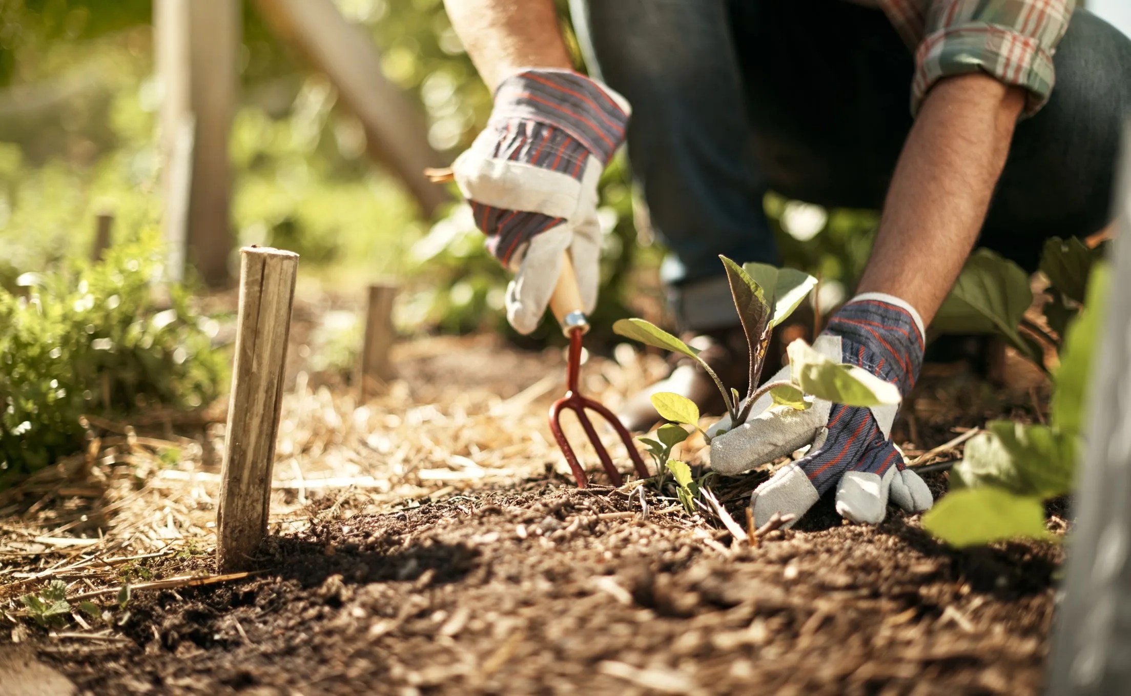 The 8 Gardening Tools You Should Know