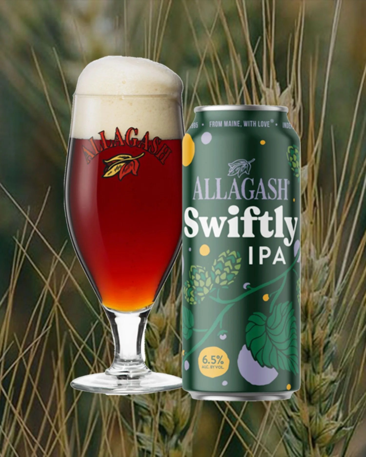 allagash swiftly ipa