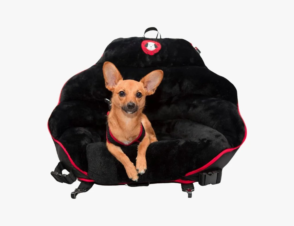These Harnesses and Dog Beds for Cars Keep Your Pup Safe When on the